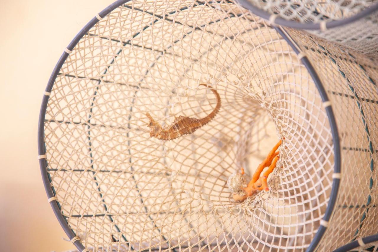 B&B Calamoresca Arbatax Ngoại thất bức ảnh